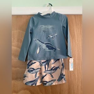 Carter’s Toddler boys 2pc bathing suit, 4T